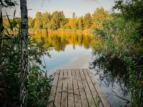 Главная